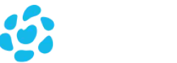 Fundación Rey Ardid